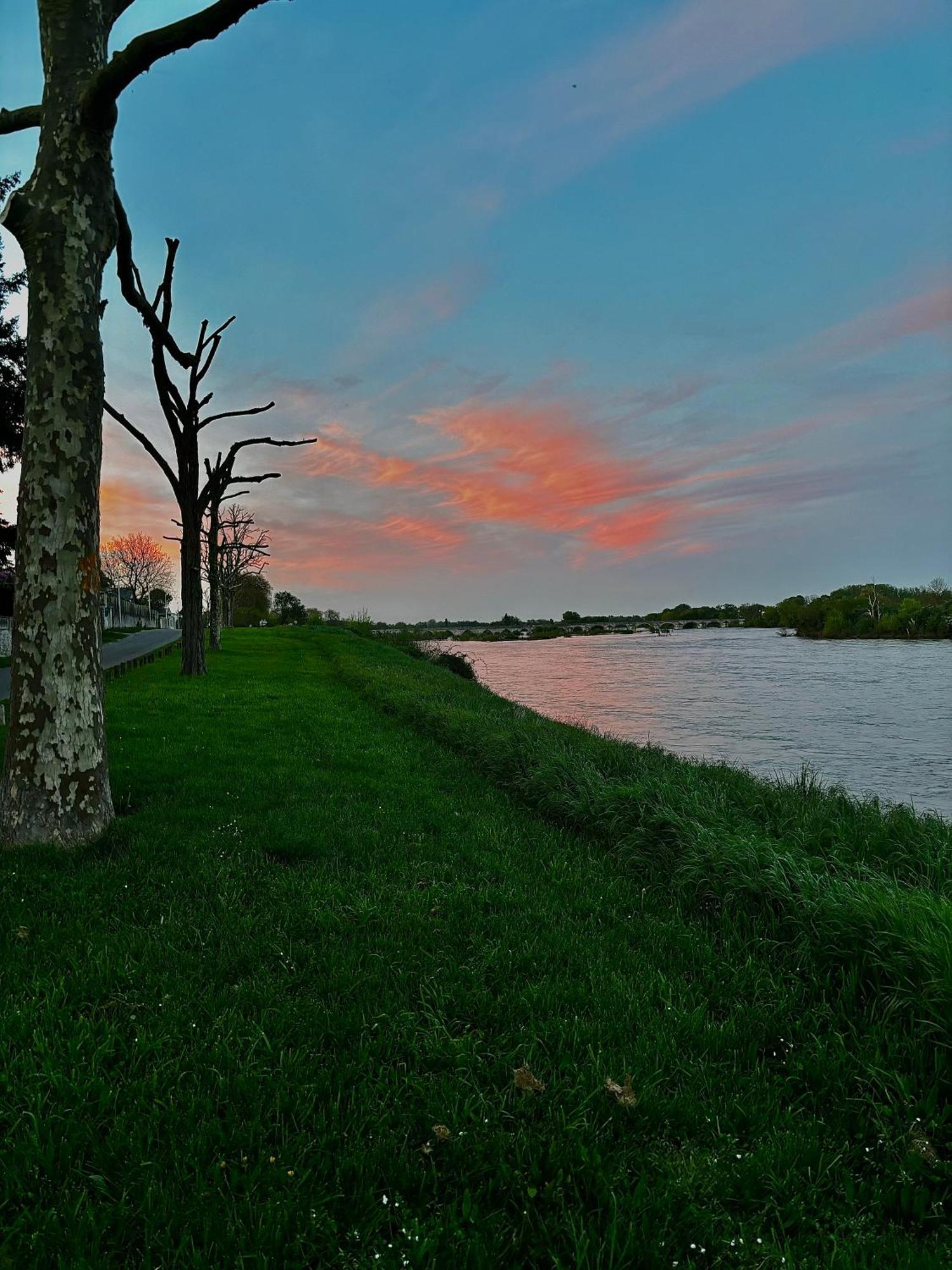 Studio Vue Sur Loire Beaugency Buitenkant foto